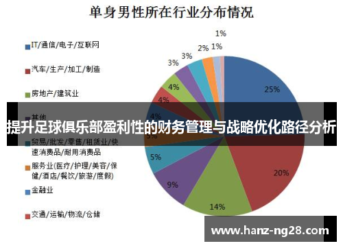 提升足球俱乐部盈利性的财务管理与战略优化路径分析