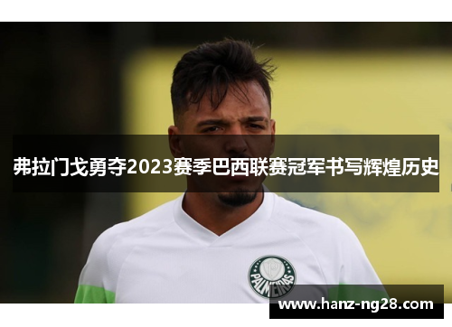 弗拉门戈勇夺2023赛季巴西联赛冠军书写辉煌历史