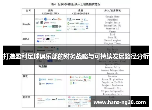 打造盈利足球俱乐部的财务战略与可持续发展路径分析