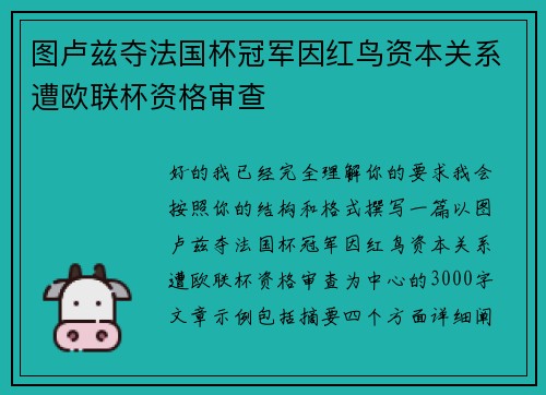 图卢兹夺法国杯冠军因红鸟资本关系遭欧联杯资格审查 图卢兹夺法国杯冠军因红鸟资本关系遭欧联杯资格审查