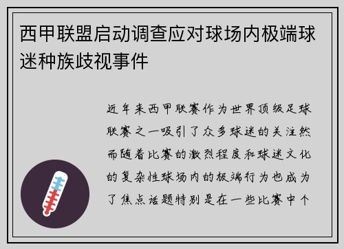西甲联盟启动调查应对球场内极端球迷种族歧视事件